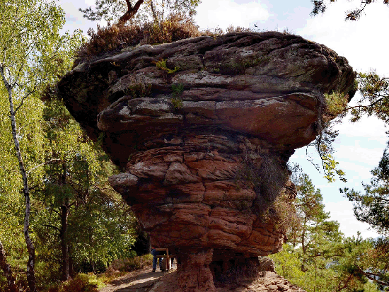 Wanderung Rimbachsteig 2016